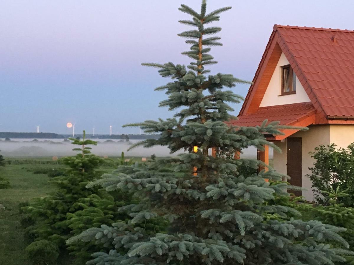 Wygodny Murowany Domek- Nowy Dąbki Exterior foto